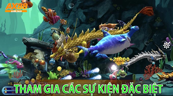 Tham gia các sự kiện đặc biệt